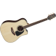 TAKAMINE GN51 CE NAT