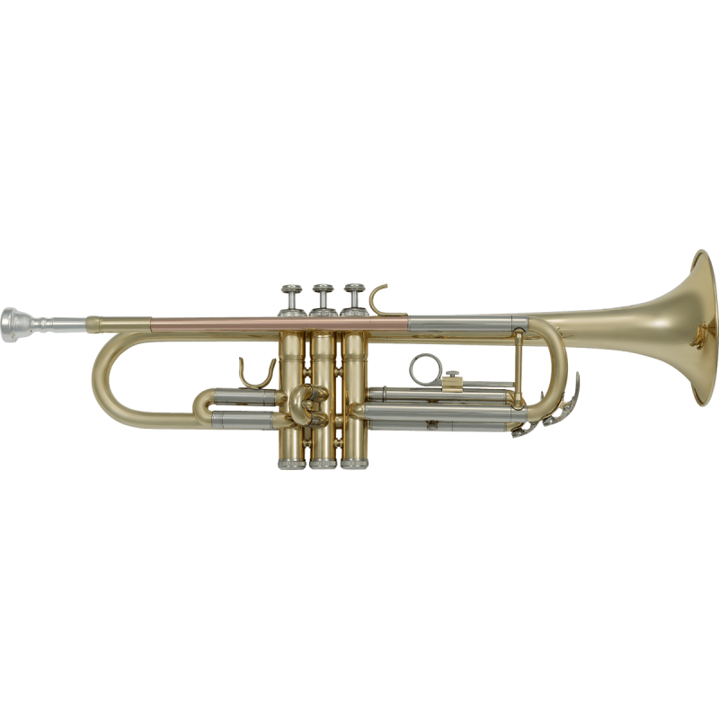 Vents - ACCESSOIRES - Sourdine trompette piccolo entraînement