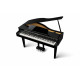 Kawai DG 30 Noir laqué