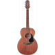 TAKAMINE GLN11ENS