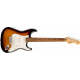 FENDER PLAYER STRATOCASTER ANNIVERSARY 2 COLOR SUNBURST