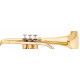 CORNET MTP Basic 300